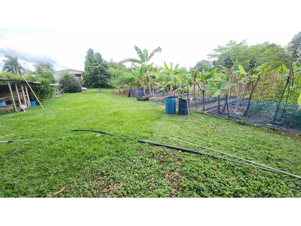 SE VENDE FINCA CAMPOALEGRE - TULUA - 3
