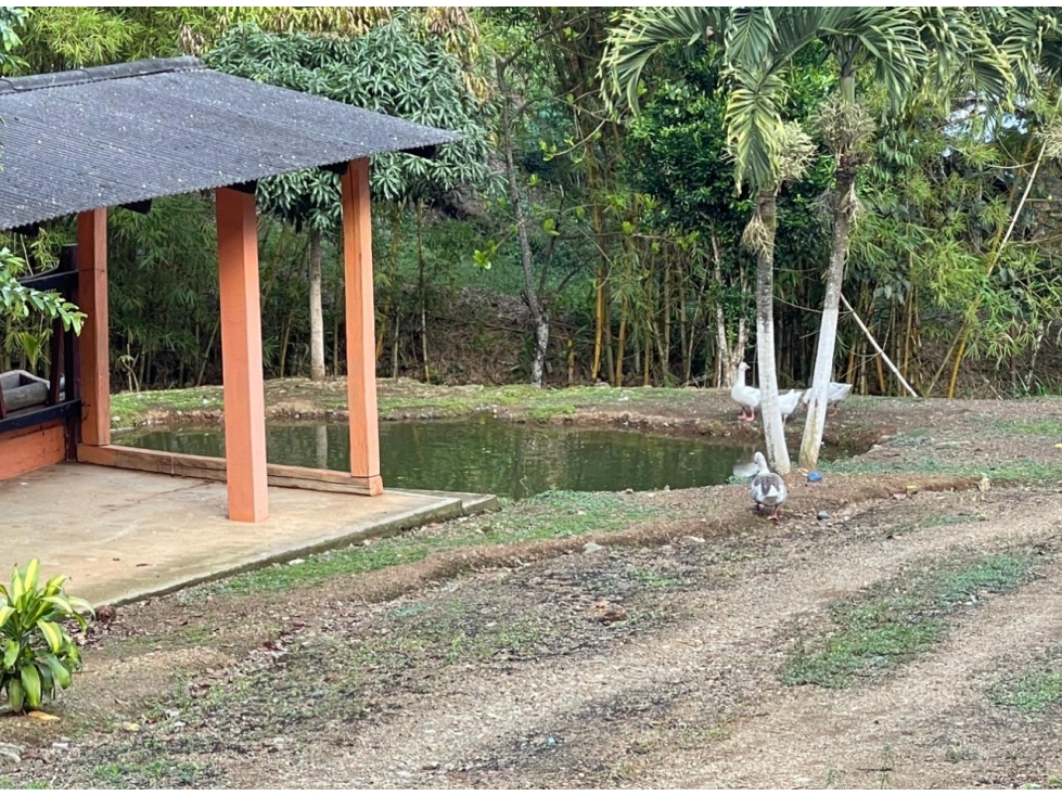 FINCA LAS OLIVAS - RESTREPO - 3