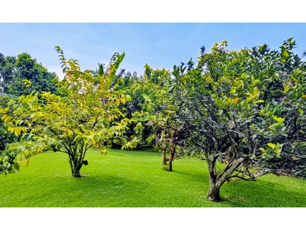 VENTA CASA CAMPESTRE TRES ESQUINAS - TULUA - 3
