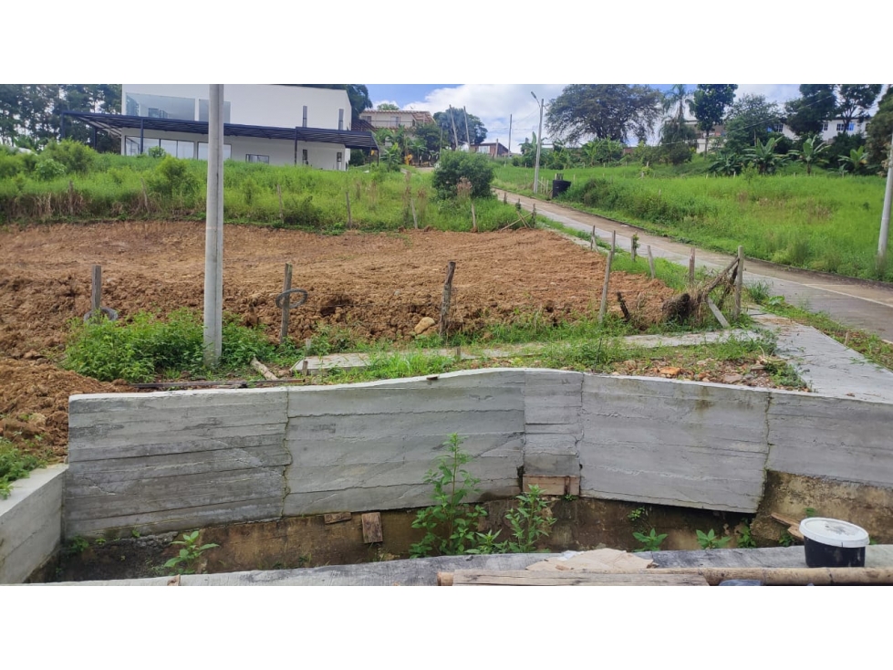 SE VENDE LOTE CAMPESTRE LA IBERIA - TULUA - 3