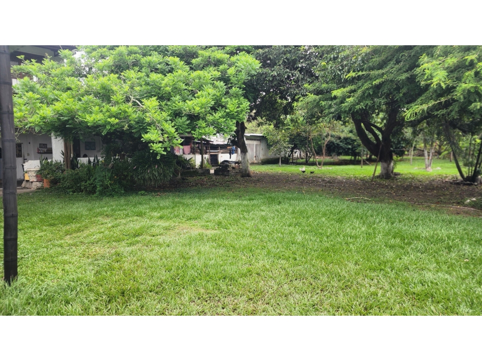 SE VENDE FINCA CAMPOALEGRE - TULUA - 4