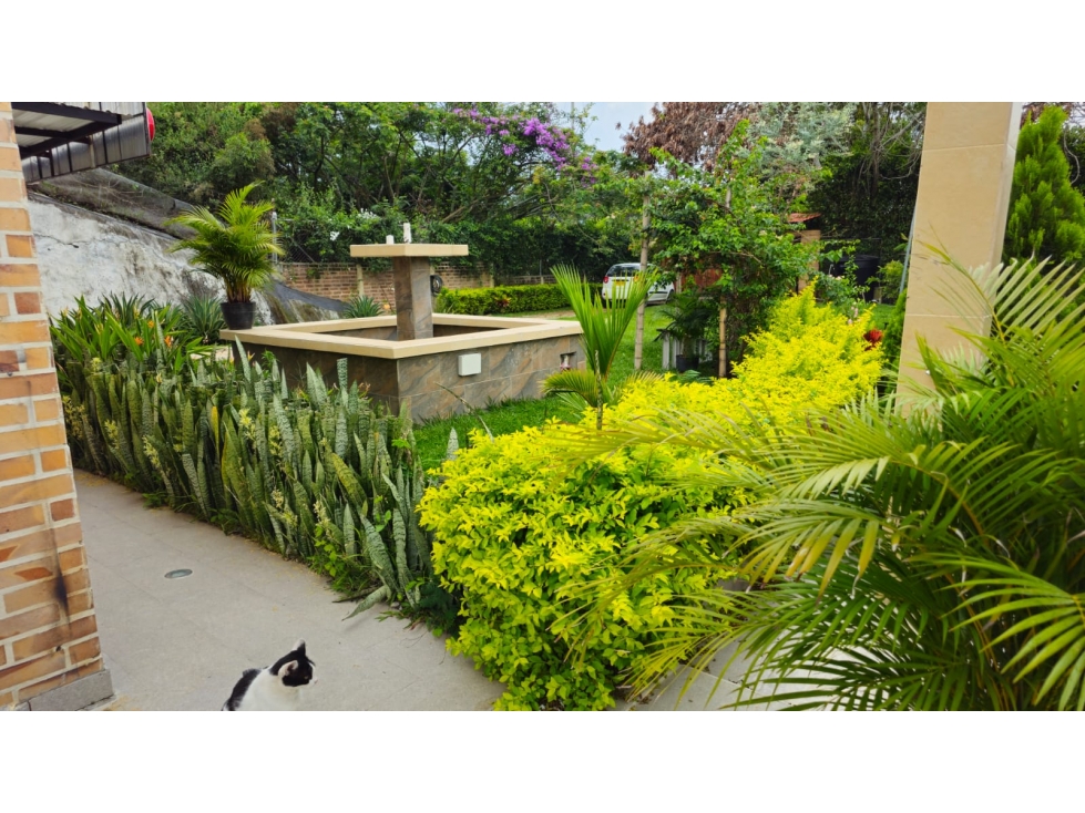 SE VENDE CASA CAMPESTRE VIA LA MARINA - TULUA - 6