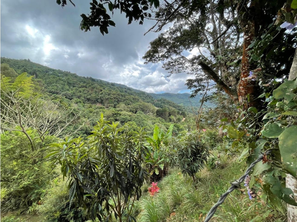 Alquiler de Casa Campestre Dapa Yumbo — foto 2