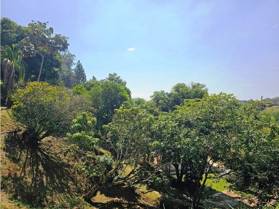 VENTA DE LOTE SANTANDER DE QUILICHAO CAUCA - 6