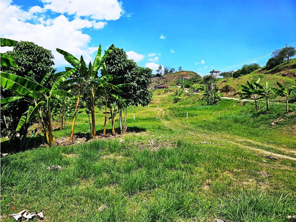 VENTA DE LOTE SANTANDER DE QUILICHAO CAUCA - 3