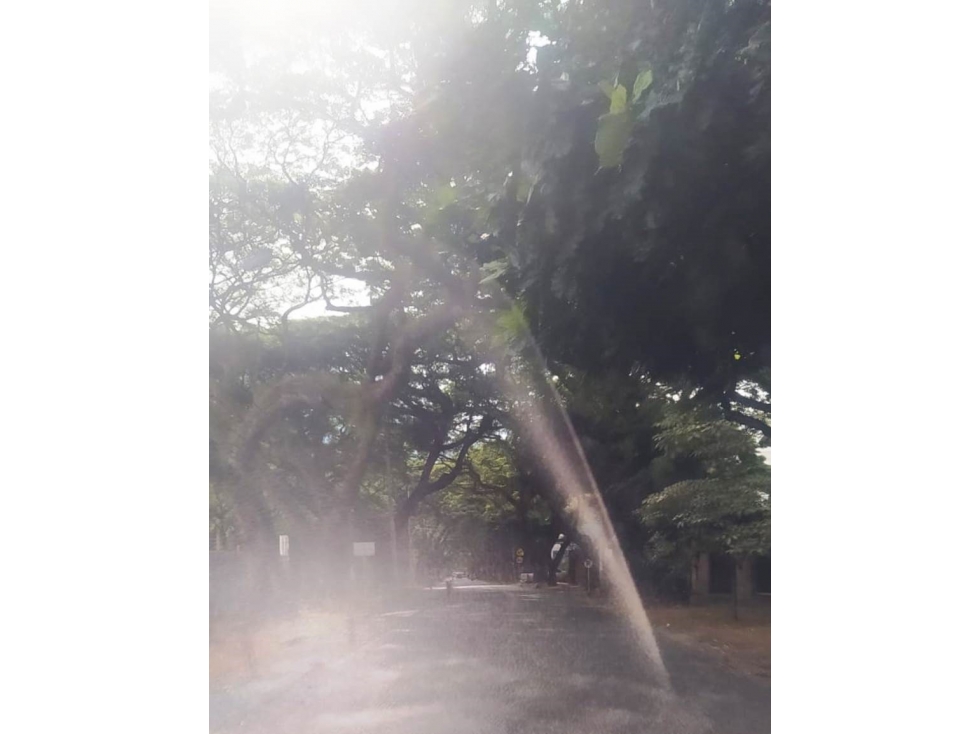 VENTA CASA LOTE SUR GUADALUPE CALI — foto 3