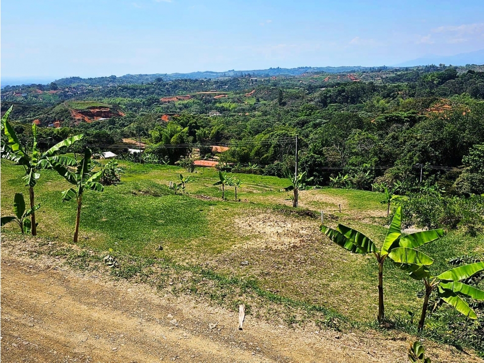 VENTA DE LOTE SANTANDER DE QUILICHAO CAUCA - 1