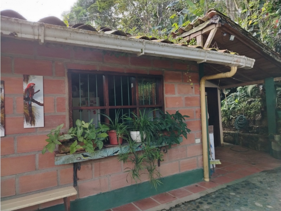 FINCA VENTA / BARBOSA — foto 3
