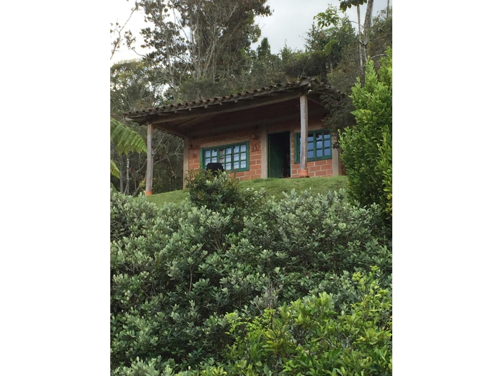 FINCA LOTE / EL RETIRO / Lagos de Pontezuela