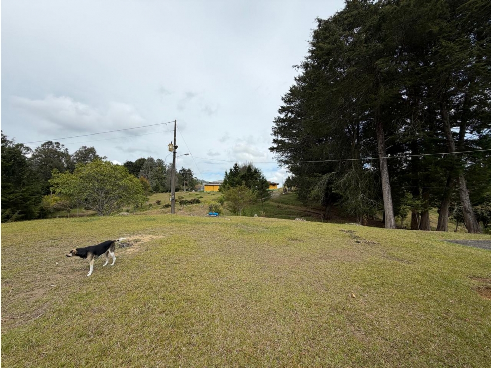 LOTE EN VENTA / ENVIGADO ALTO DE LAS PALMAS