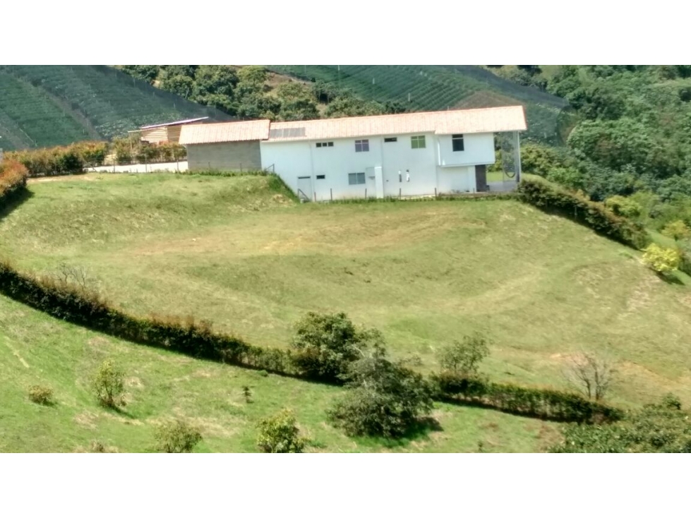 LOTE VENTA / MARINILLA (SZ10)