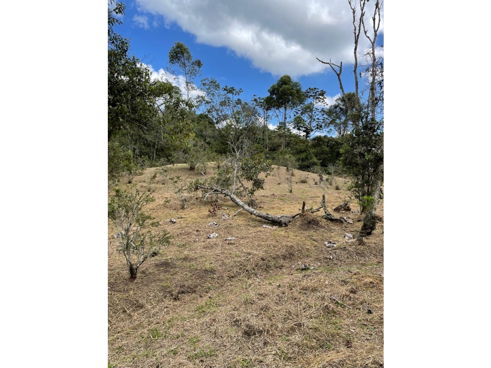 FINCA LOTE / EL RETIRO / Lagos de Pontezuela — foto 4