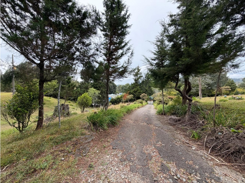 LOTE EN VENTA / ENVIGADO ALTO DE LAS PALMAS — foto 5