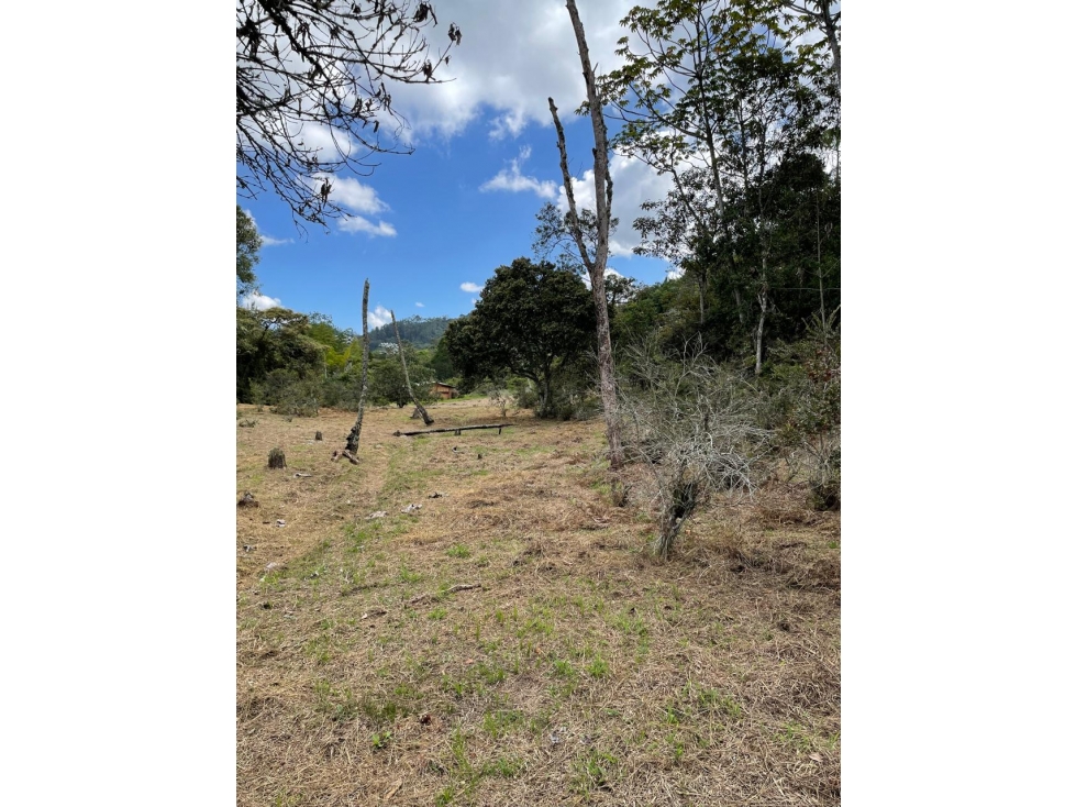 FINCA LOTE / EL RETIRO / Lagos de Pontezuela — foto 6