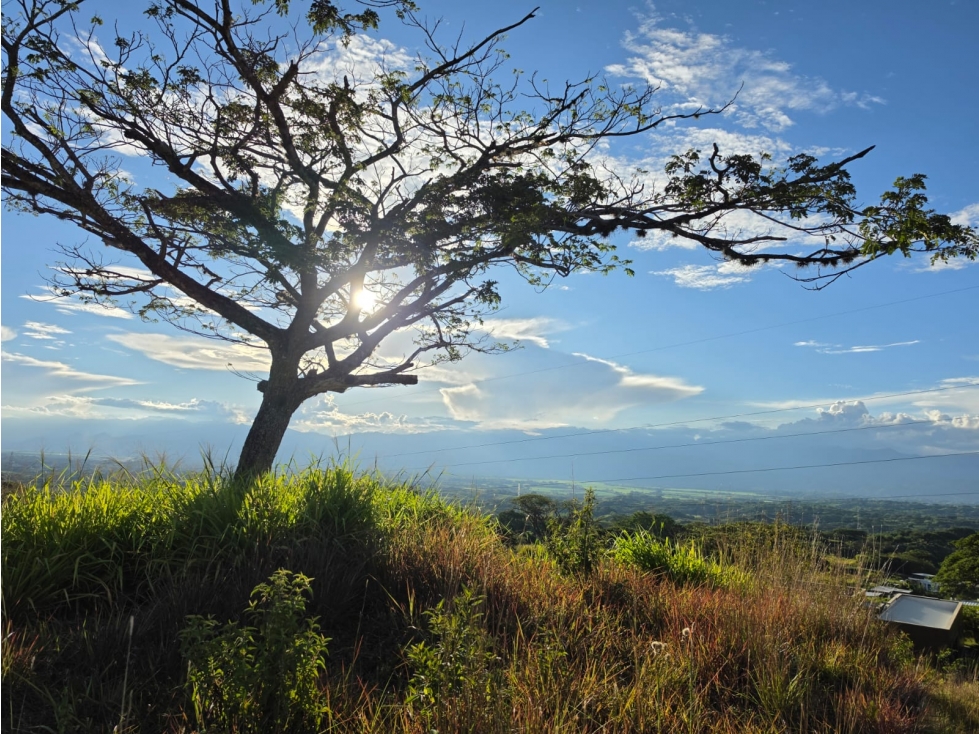 LOTES EN VENTA | CERRITOS VIA CARTAGO, PEREIRA