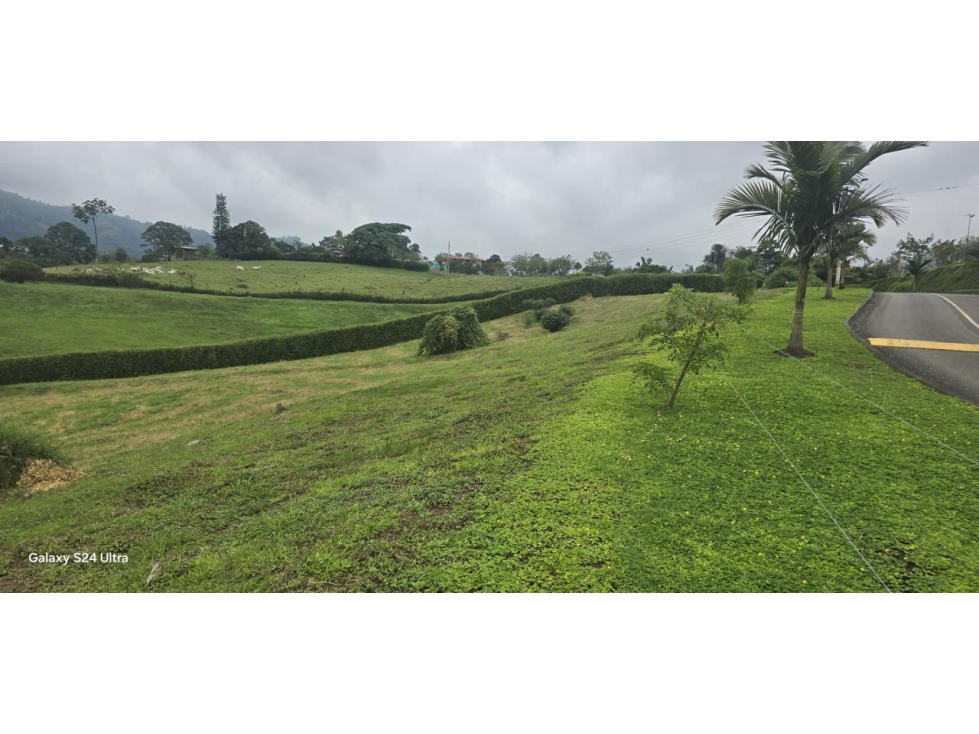 LOTE CAMPRESTE EN VENTA, VIA ARMENIA, PEREIRA - 2
