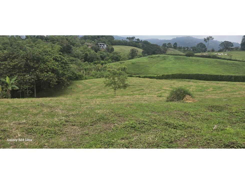 LOTE CAMPRESTE EN VENTA, VIA ARMENIA, PEREIRA - 3