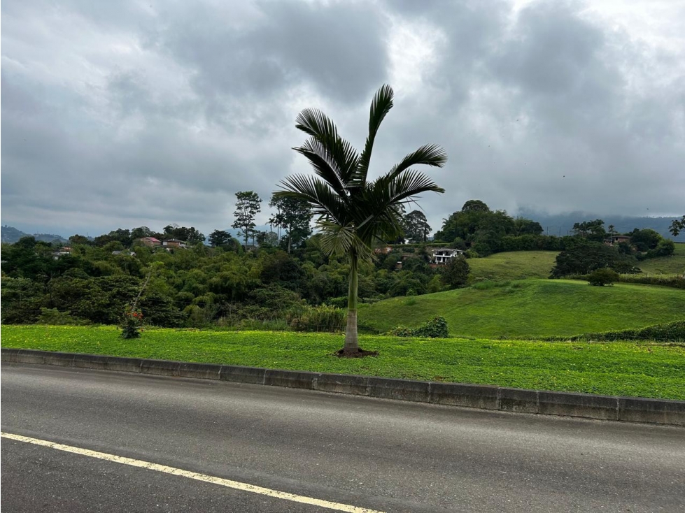 LOTE CAMPRESTE EN VENTA, VIA ARMENIA, PEREIRA - 5