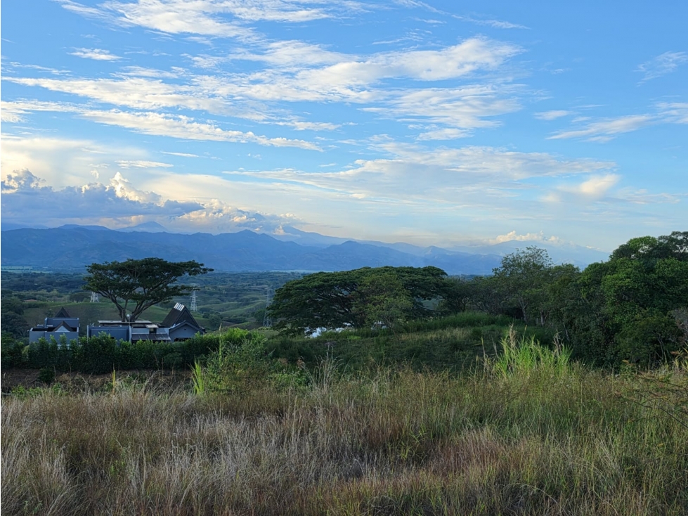 LOTES EN VENTA | CERRITOS VIA CARTAGO, PEREIRA — foto 3