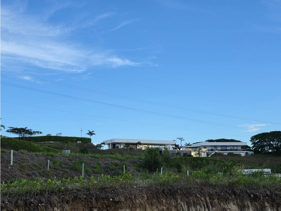 LOTES EN VENTA | CERRITOS VIA CARTAGO, PEREIRA — foto 5