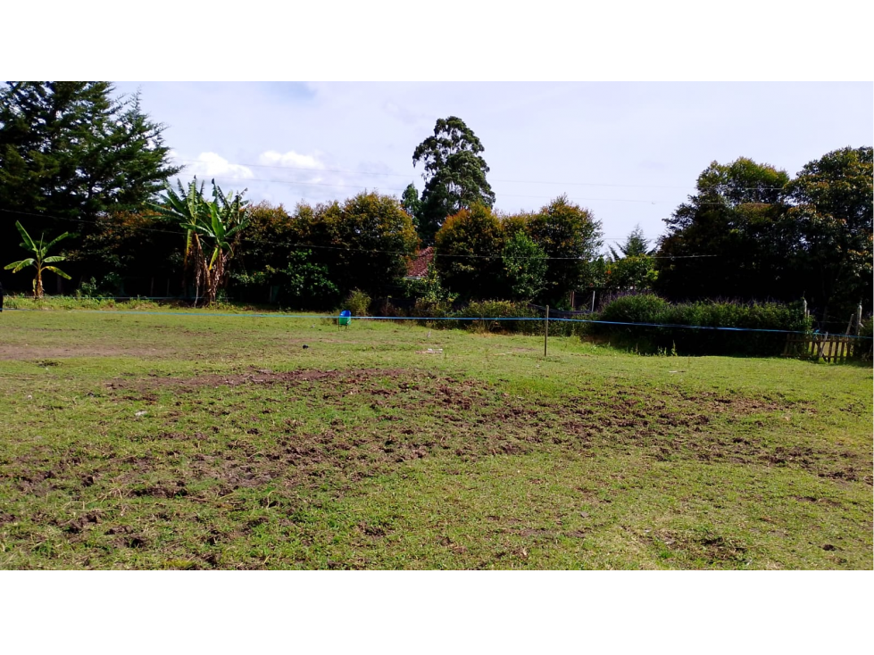 VENDO LOTE PLANO EN LA CEJA