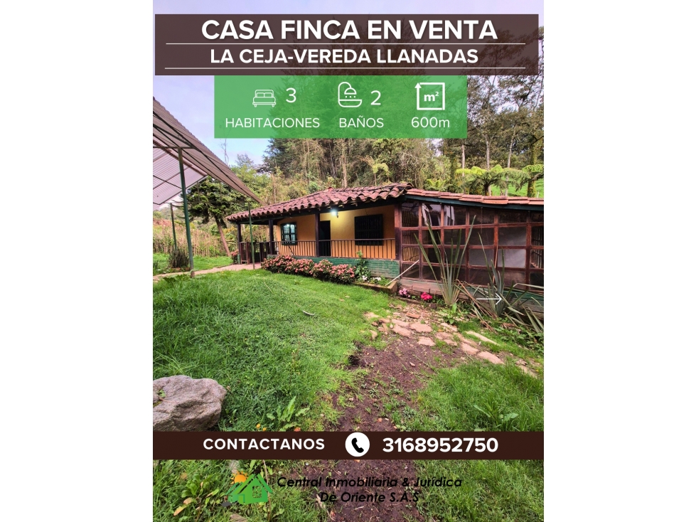 VENDO CASA FINCA A 15 MNS DE MUNICIPIO DE LA CEJA VIA ABEJORRAL