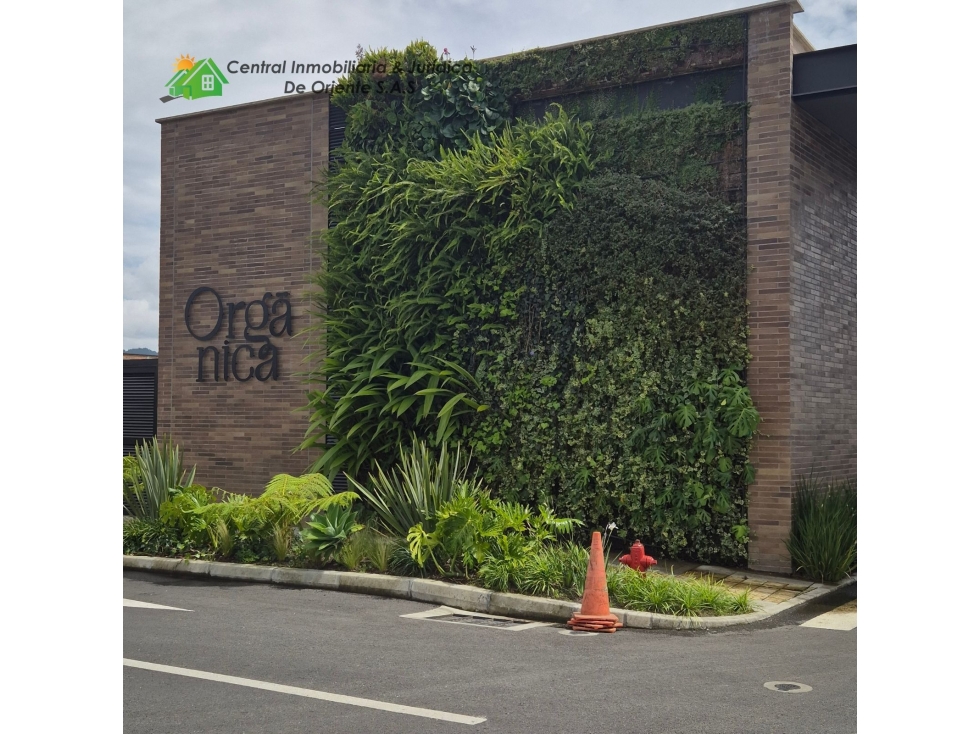 LOTE ENM LA URBANIZACION ORGANICA — foto 3