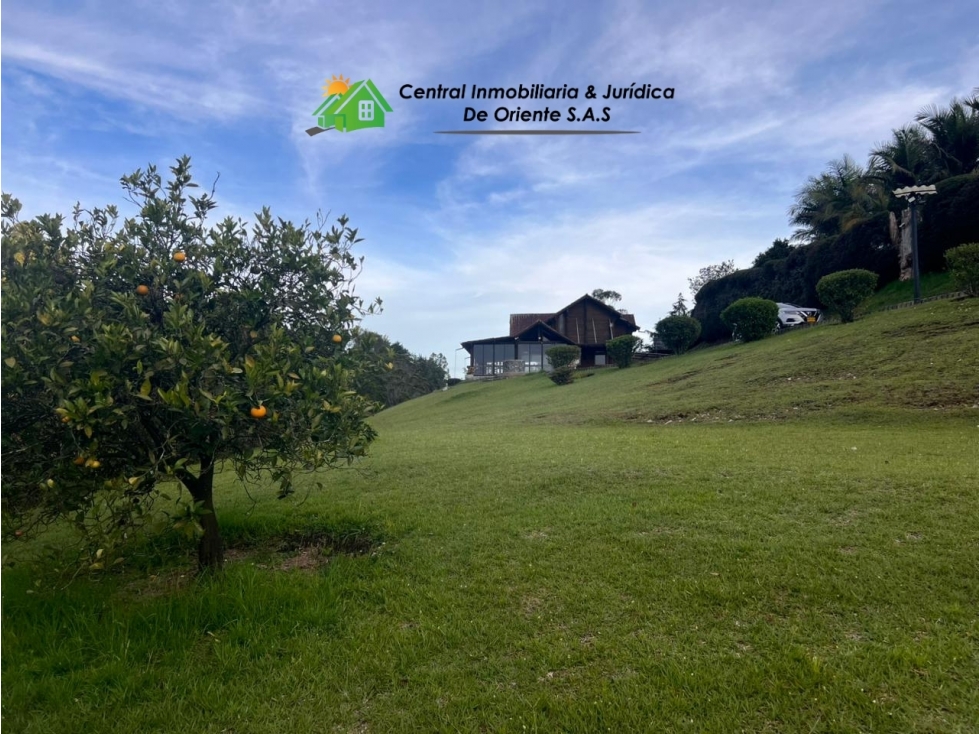 VENDO CASA FINCA SECTOR EL CHUSCAL, ENTRE LA CEJA Y EL RETIRO — foto 3