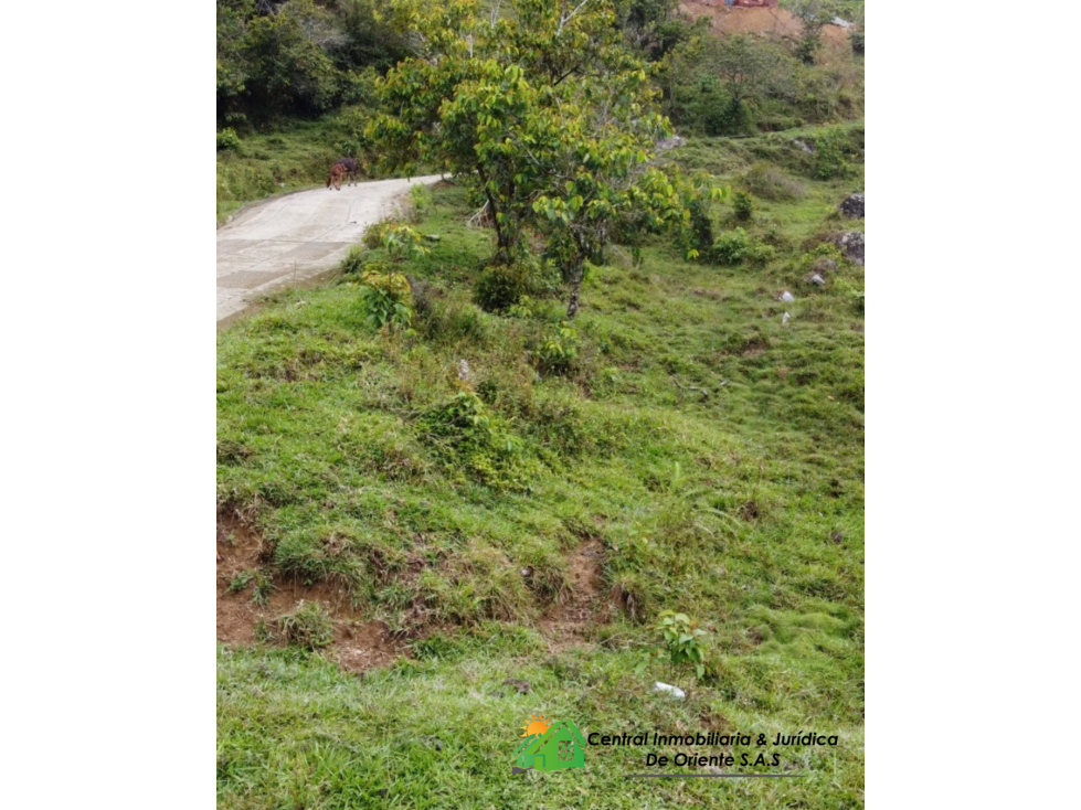 LOTE EN VENTA VIA GUATAPE - 3