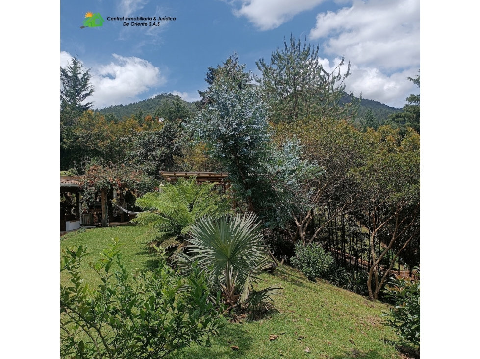 VENDO ESPECTACULAR CASA CAMPESTRE EN SAN NICOLÁS LA CEJA — foto 4