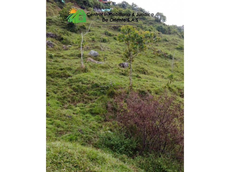 LOTE EN VENTA VIA GUATAPE - 4
