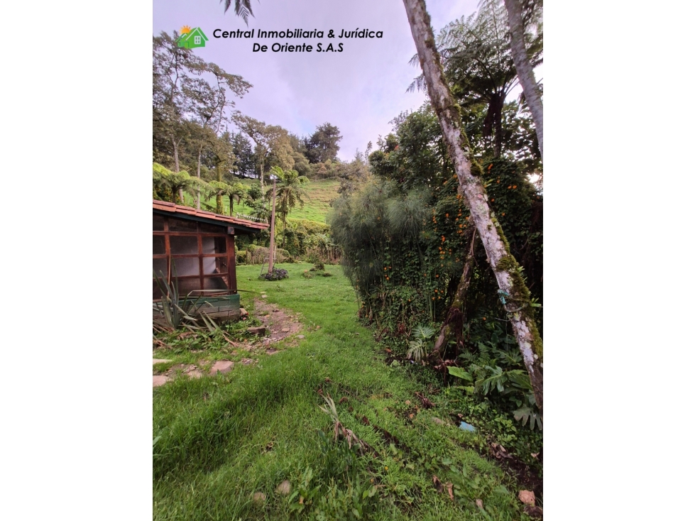 CASA CAMPESTRE EN VENTA VÍA ABEJORRAL, LA CEJA, ANTIOQUIA — foto 5