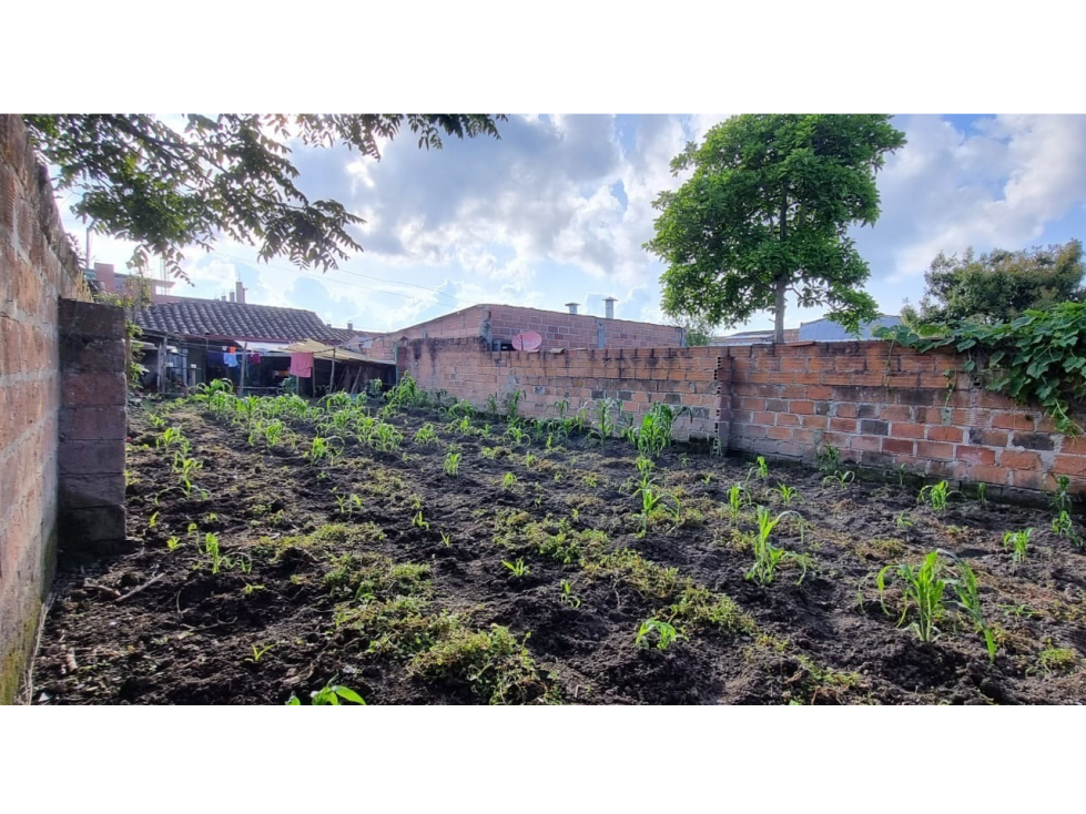 VENDO CASA LOTE EN LA UNIÓN CERCA AL PARQUE PRINCIPAL — foto 5