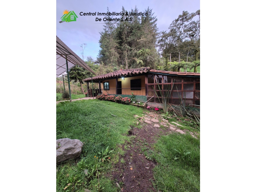 VENDO CASA FINCA A 15 MNS DE MUNICIPIO DE LA CEJA VIA ABEJORRAL — foto 6