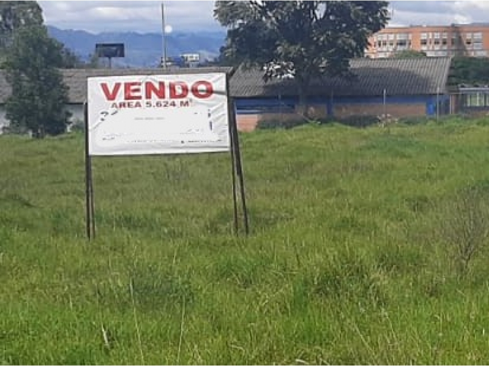 VENDO LOTE TORCA 5630 M2 CHIA CALLE 246 ENTRE AUTONORTE Y SEPTIMA — foto 2