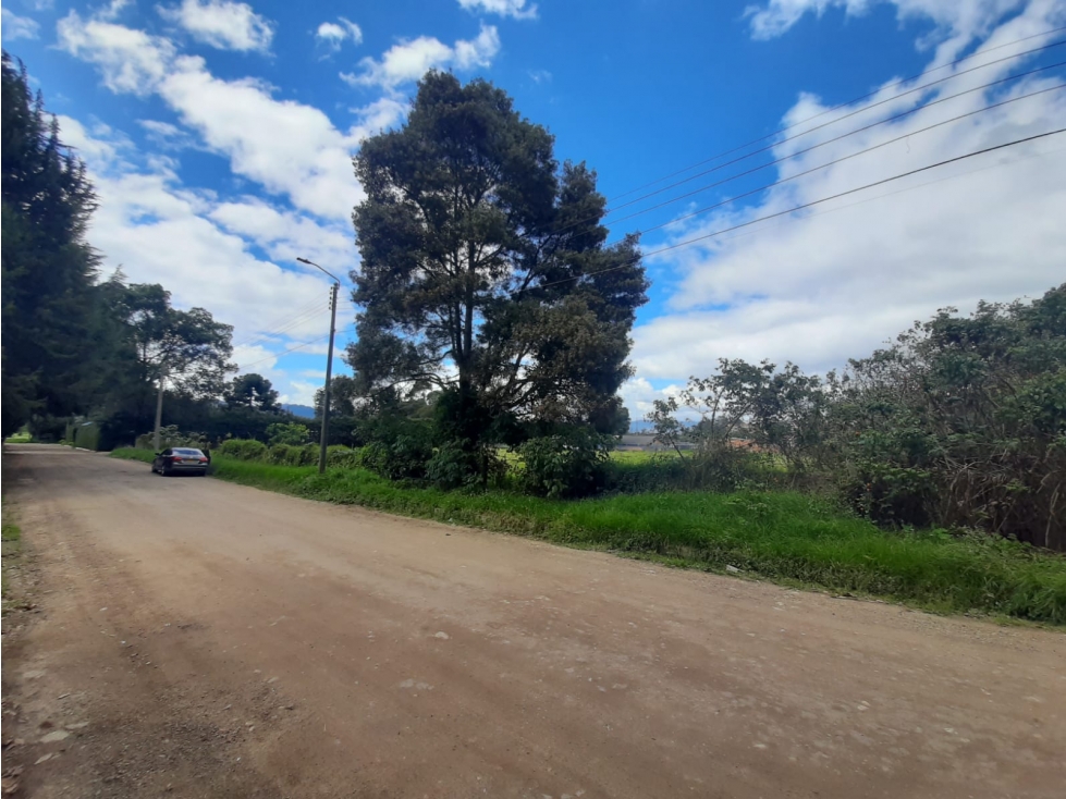 VENDO LOTE TORCA 5630 M2 CHIA CALLE 246 ENTRE AUTONORTE Y SEPTIMA — foto 3