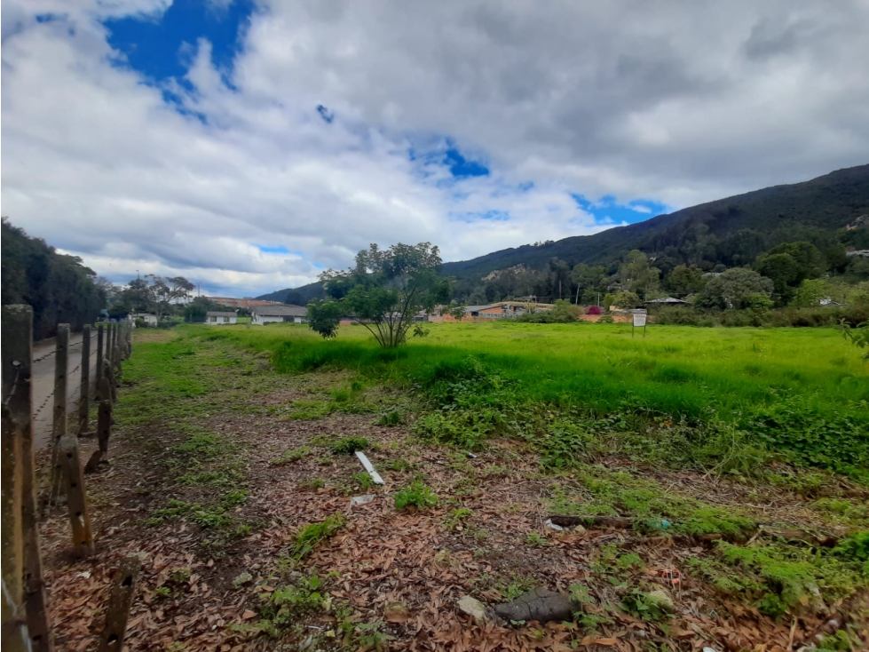 VENDO LOTE TORCA 5630 M2 CHIA CALLE 246 ENTRE AUTONORTE Y SEPTIMA — foto 4
