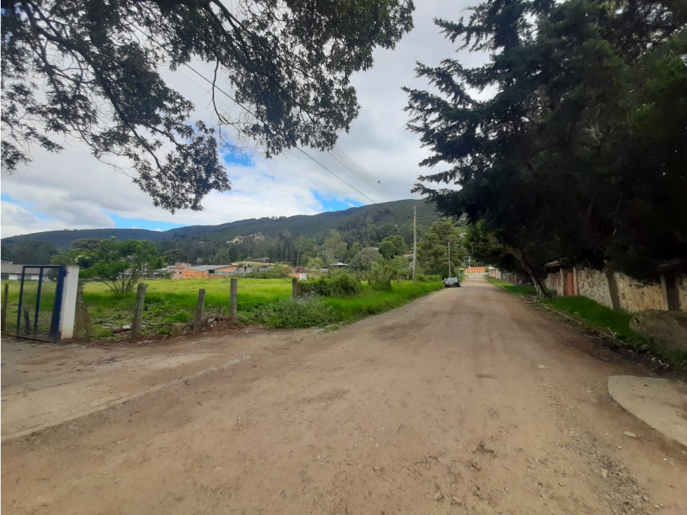 VENDO LOTE TORCA 5630 M2 CHIA CALLE 246 ENTRE AUTONORTE Y SEPTIMA — foto 5