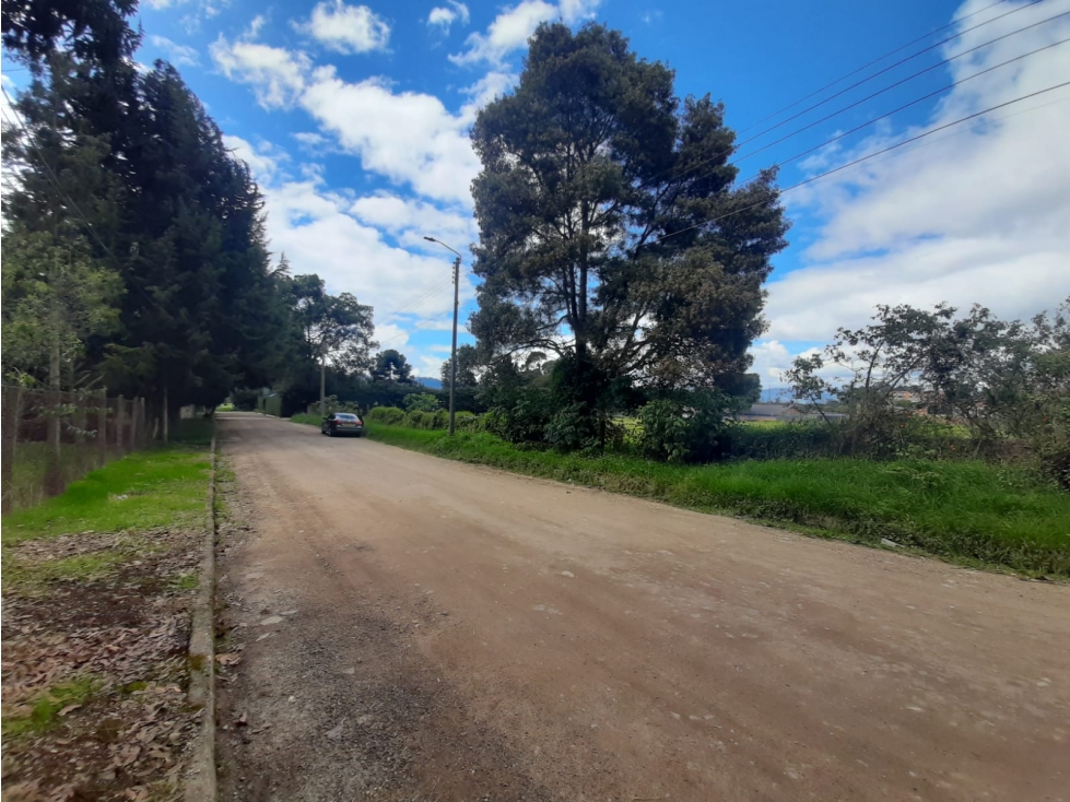 VENDO LOTE TORCA 5630 M2 CHIA CALLE 246 ENTRE AUTONORTE Y SEPTIMA — foto 6
