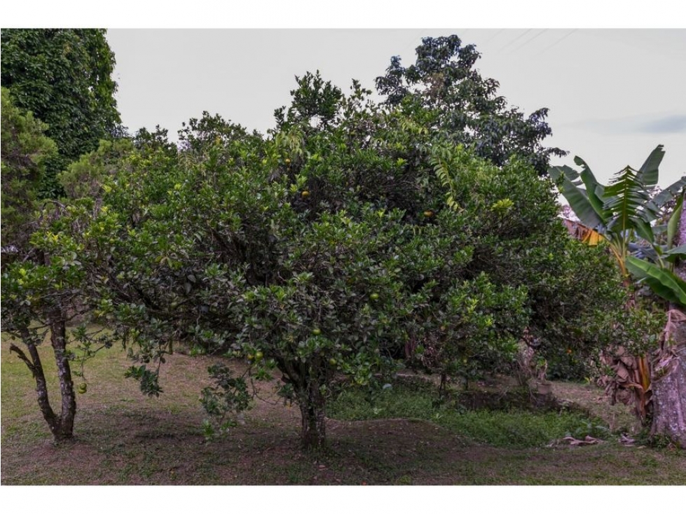VENTA EXCELENTE FINCA SASAIMA, 21000 MTS - 6