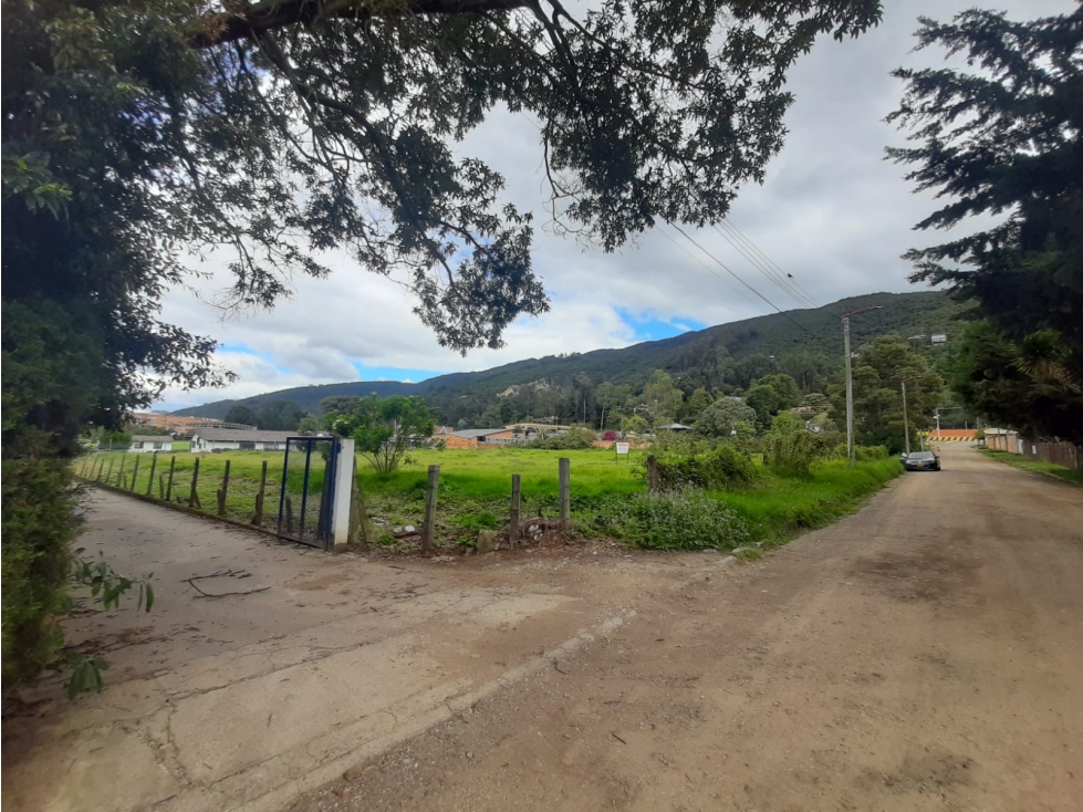 VENDO LOTE TORCA 5630 M2 CHIA CALLE 246 ENTRE AUTONORTE Y SEPTIMA