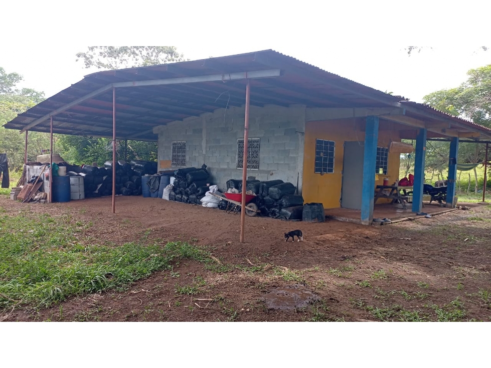 Venta de Terreno en Parita 60 HECTARIAS - 4