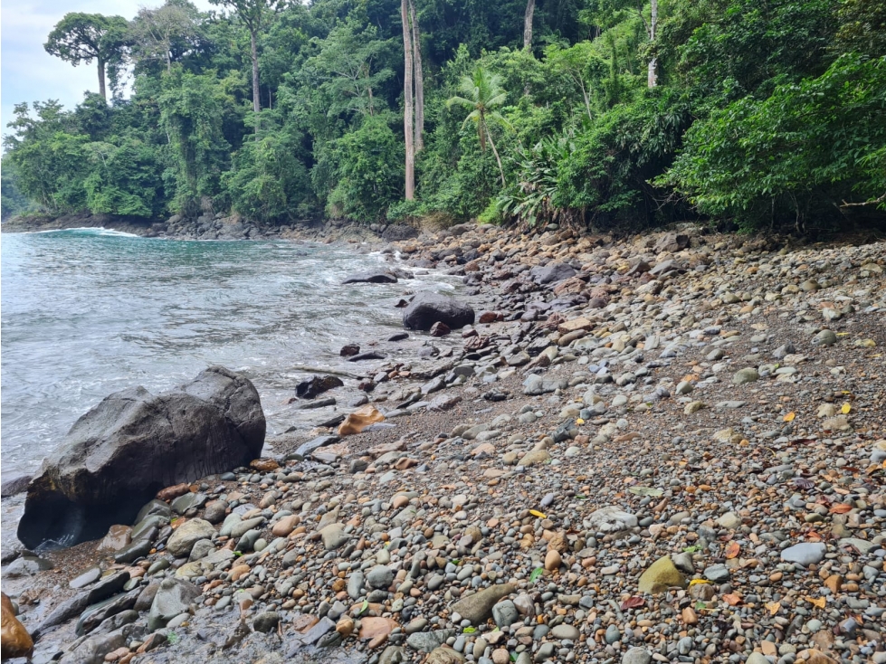 Venta de Terreno con Orilla de Mar en Darien - 4