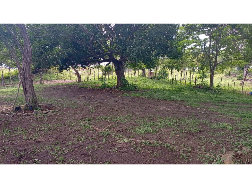 Venta de Terreno en Parita 60 HECTARIAS - 2