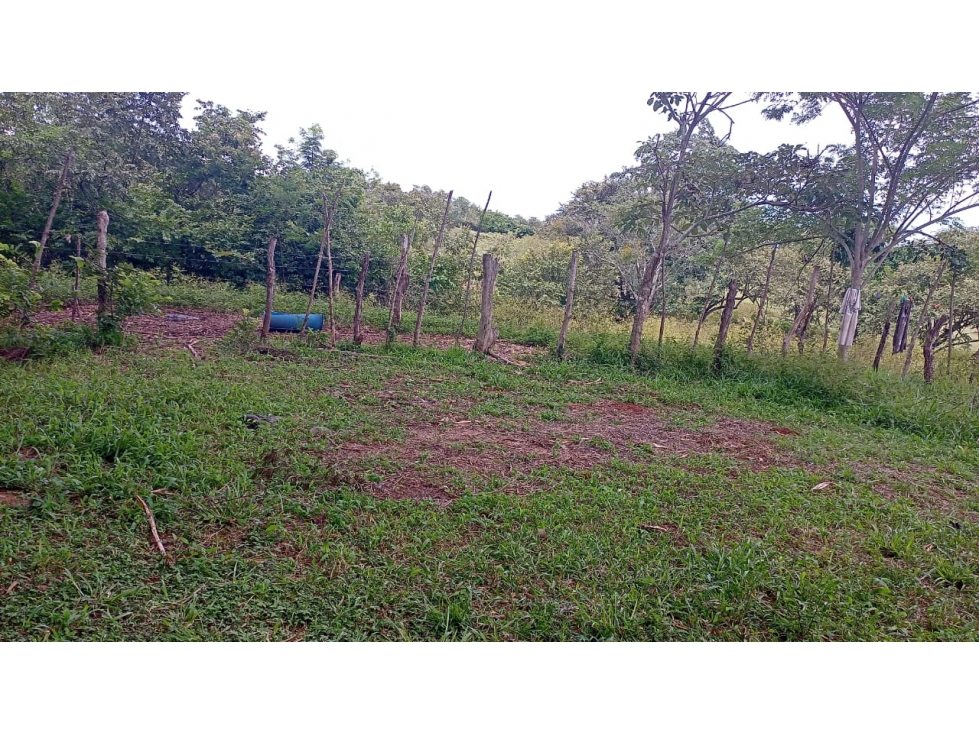 Venta de Terreno en Parita 60 HECTARIAS - 3