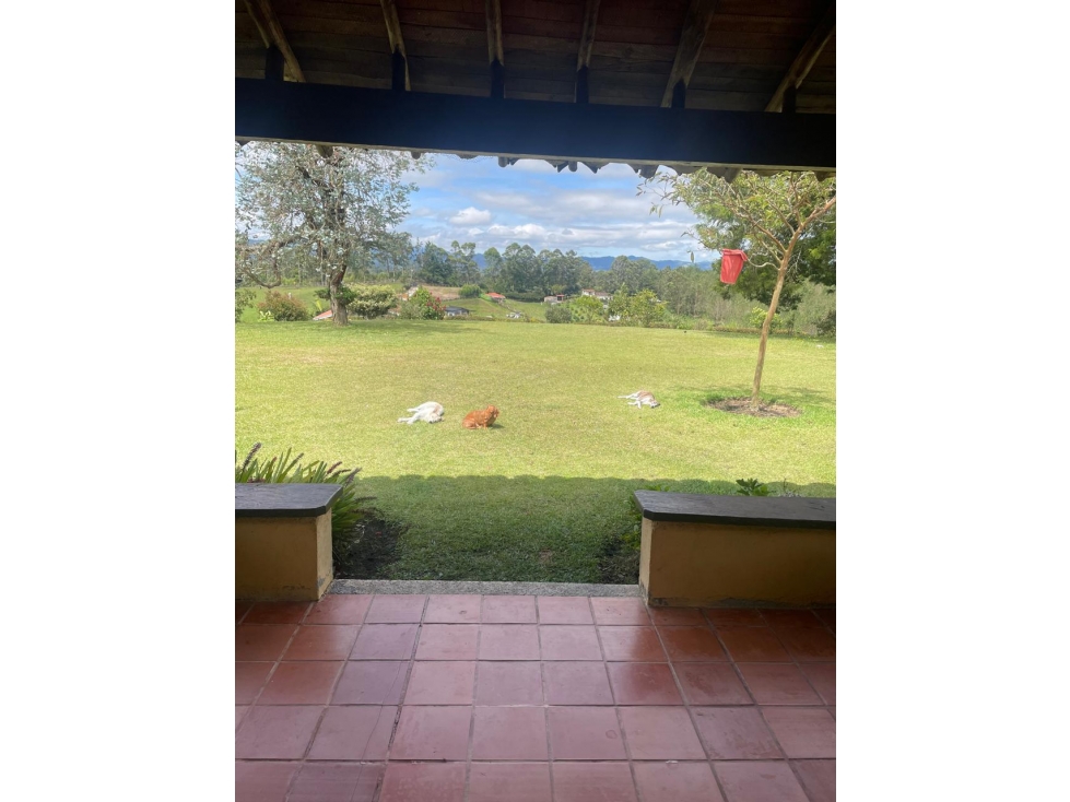 FINCA EN VENTA EN EL CARMEN VIBORAL ANTIOQUIA — foto 2
