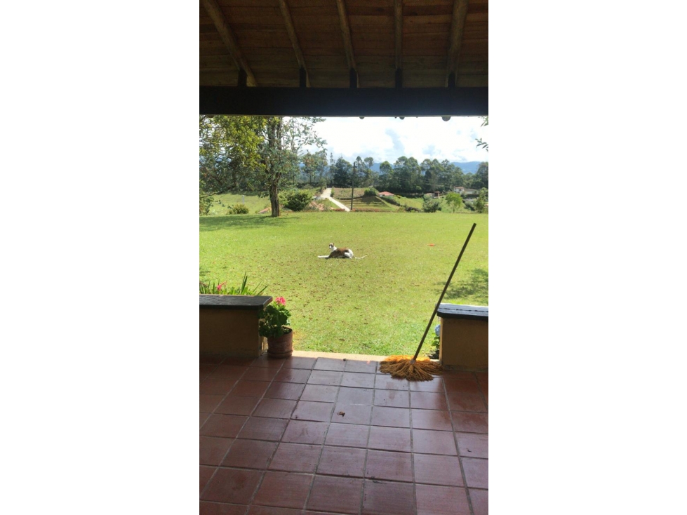 FINCA EN VENTA EN EL CARMEN VIBORAL ANTIOQUIA — foto 3