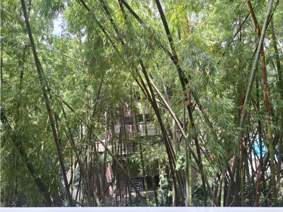 Apartamento en venta en Castropol Poblado — foto 4
