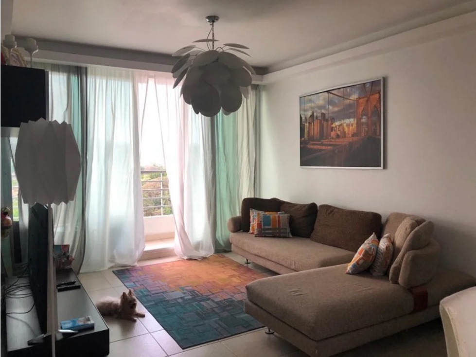 Melissa Foster Luxury Vende Apartamento en PH Clayton Park MF444 — foto 5