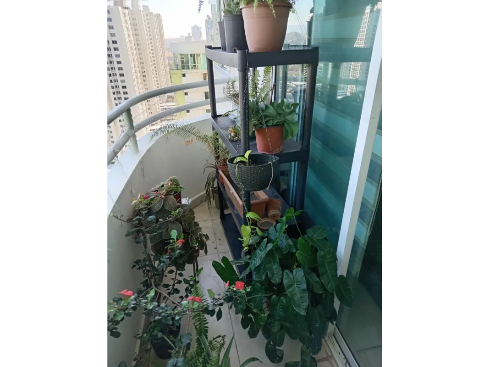 Melissa Foster Luxury Vende Apartamento en Condado del Rey MF1021 — foto 6